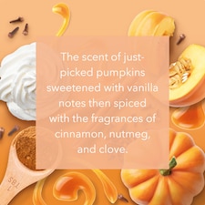 Yankee Candle Large Jar Pumpkin Harvest 538G thumbnail 2