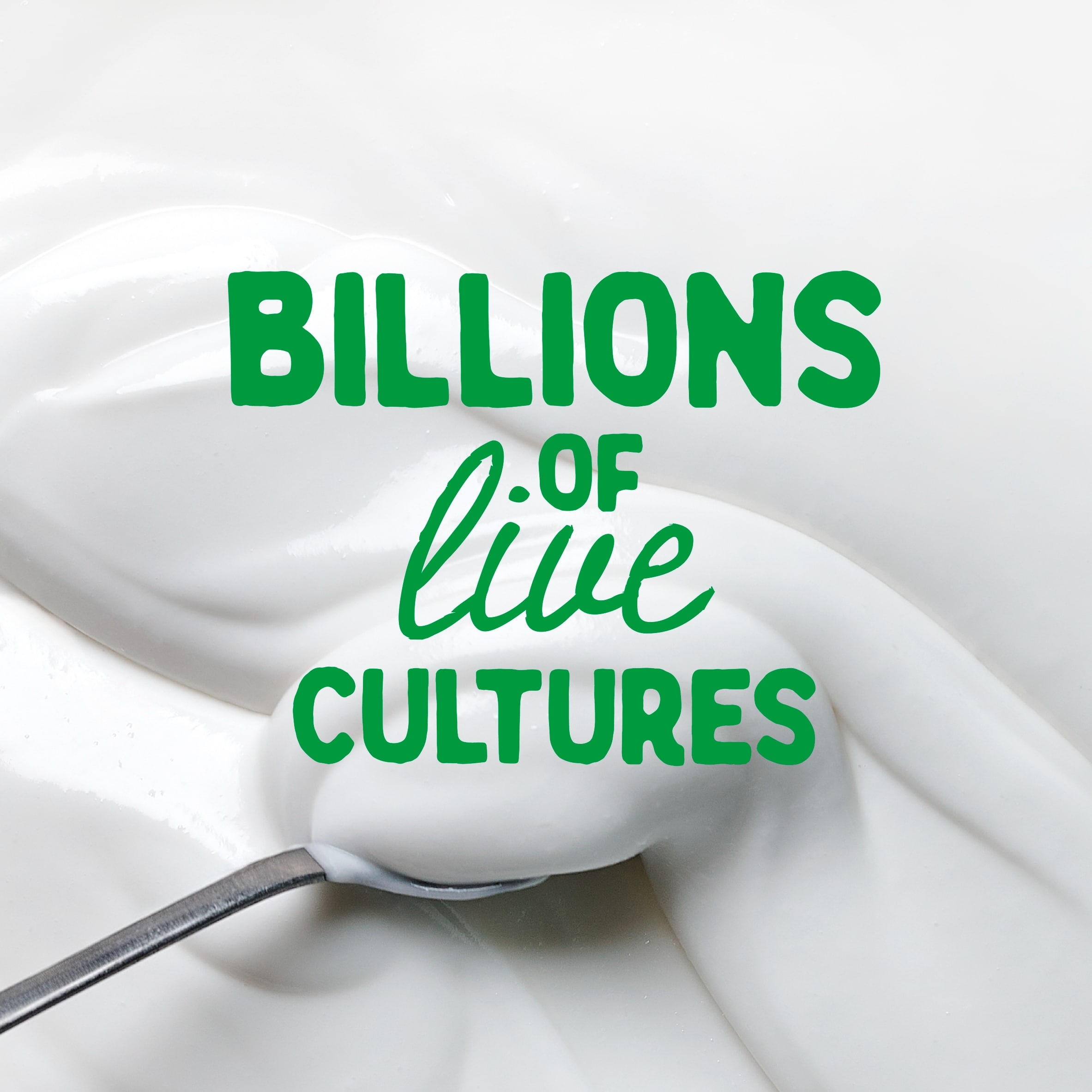 The Coconut Collab Plain Gut Health Coconut Yoghurt 350g thumbnail 3
