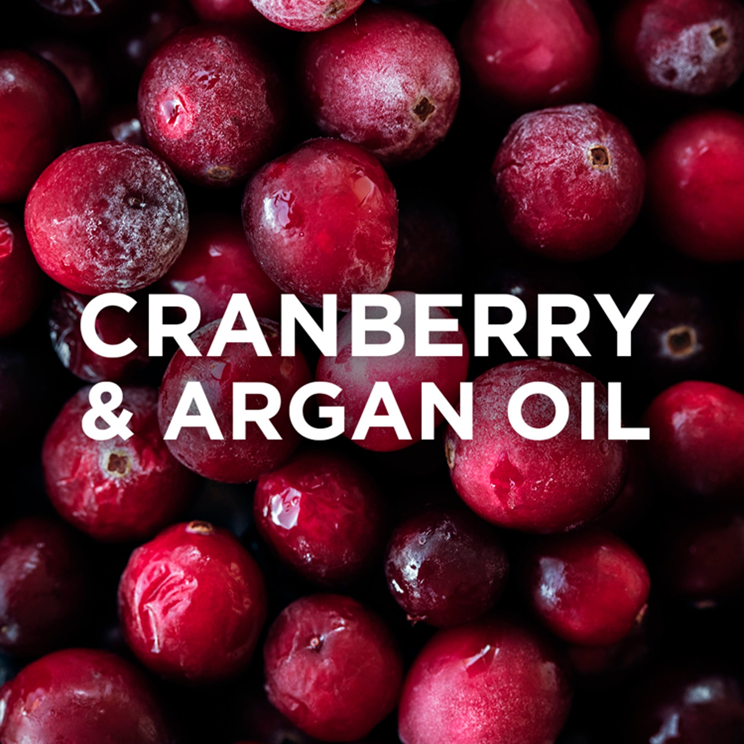 Garnier Ultimate Blends Argan Oil & Cranberry Colour Conditioner 400ml thumbnail 3