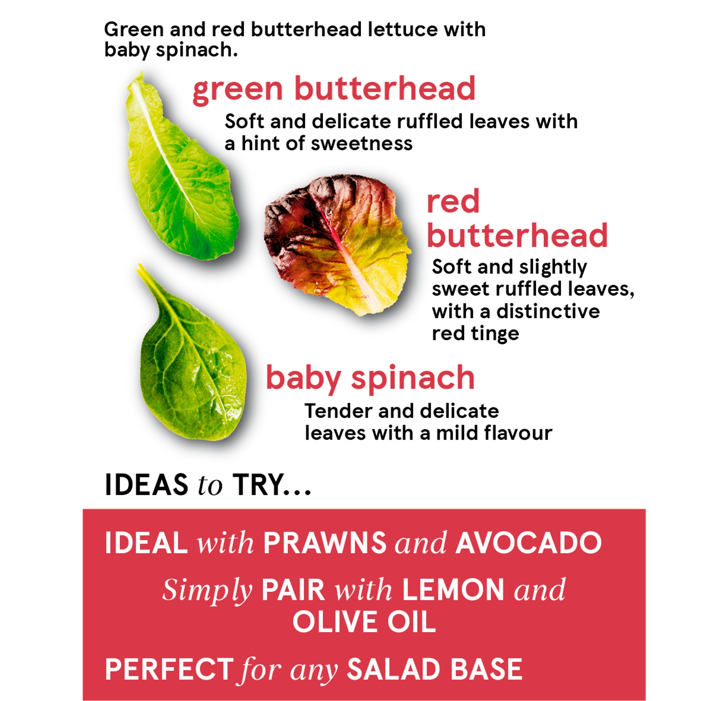 Tesco Butterhead Salad 80G thumbnail 2