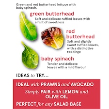 Tesco Butterhead Salad 80G thumbnail 2