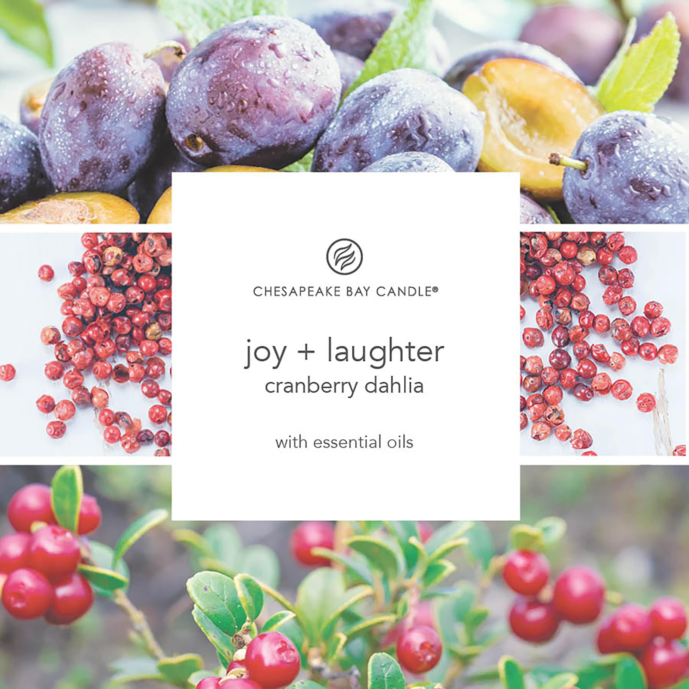 Chesapeake Bay Cranberry Dahlia Candle 355G thumbnail 2