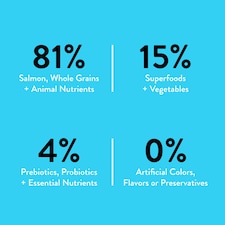 Nood Cat Food Salmon Recipe 800G thumbnail 3