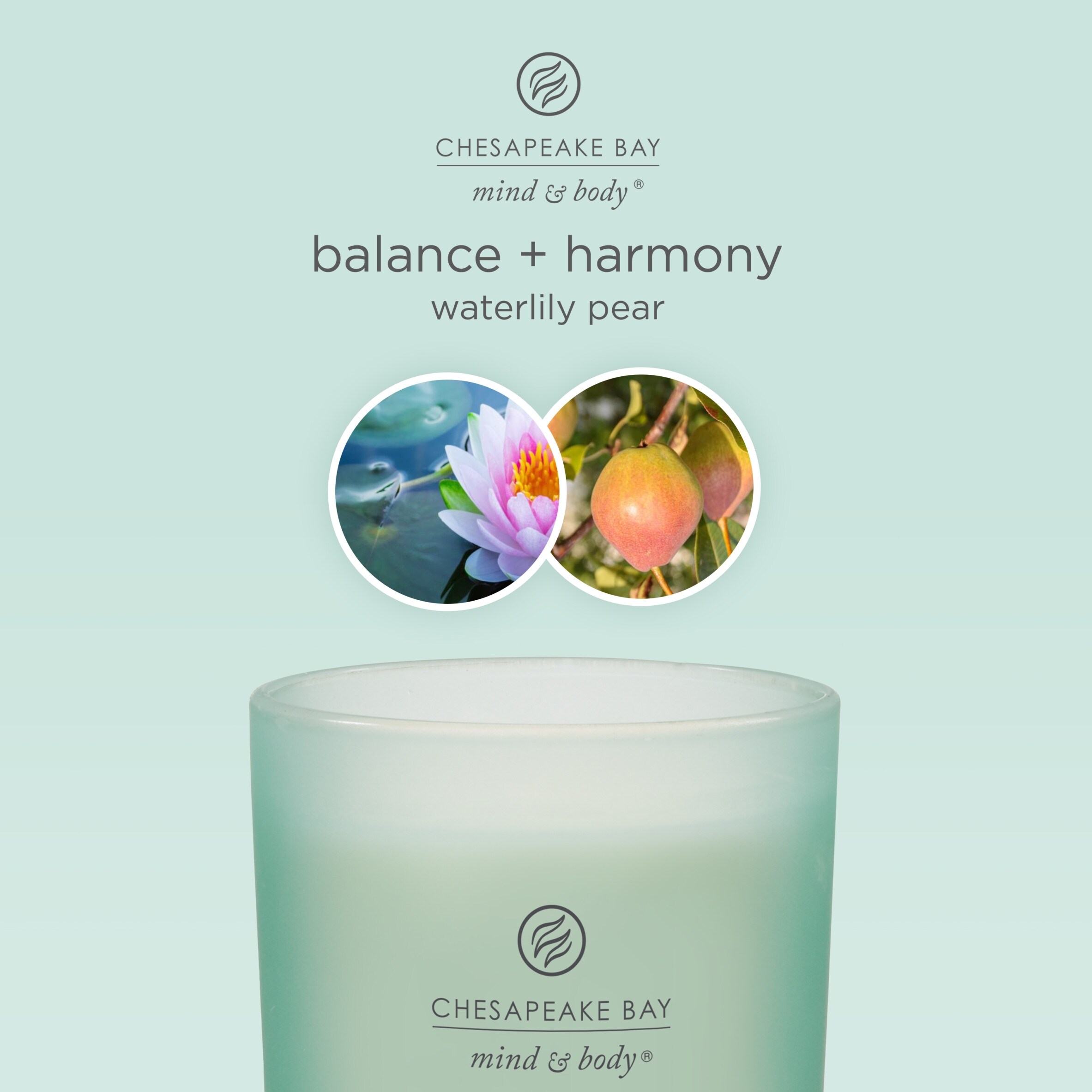 Chesapeake Bay Waterlily Pear Candle 355G thumbnail 2