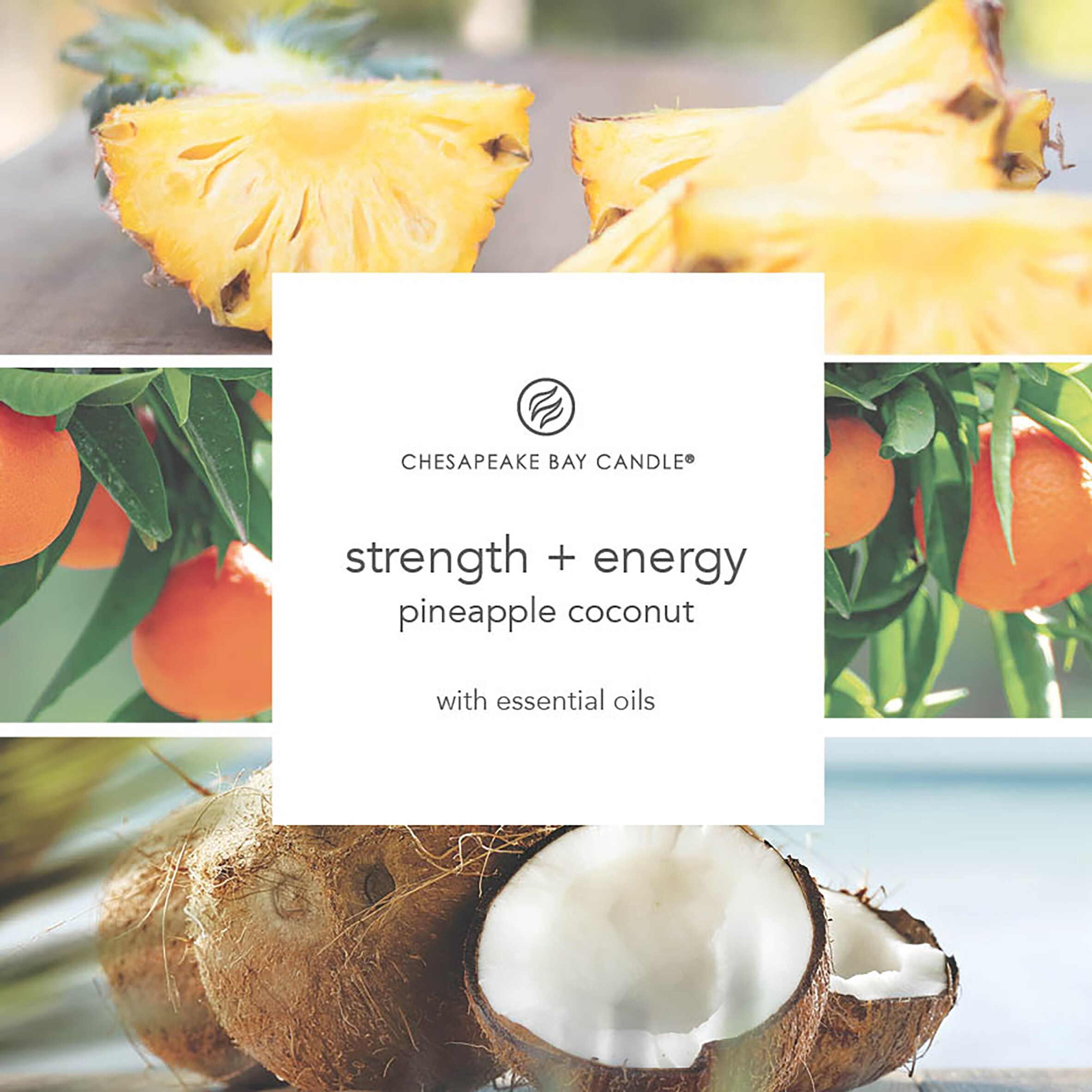 Chesapeake Bay Pineapple Coconut Candle 250G thumbnail 2