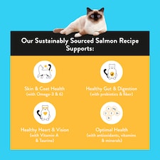 Nood Cat Food Salmon Recipe 3Kg thumbnail 2