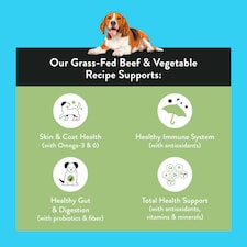 Nood Dog Food Beef Recipe 1.42Kg thumbnail 2