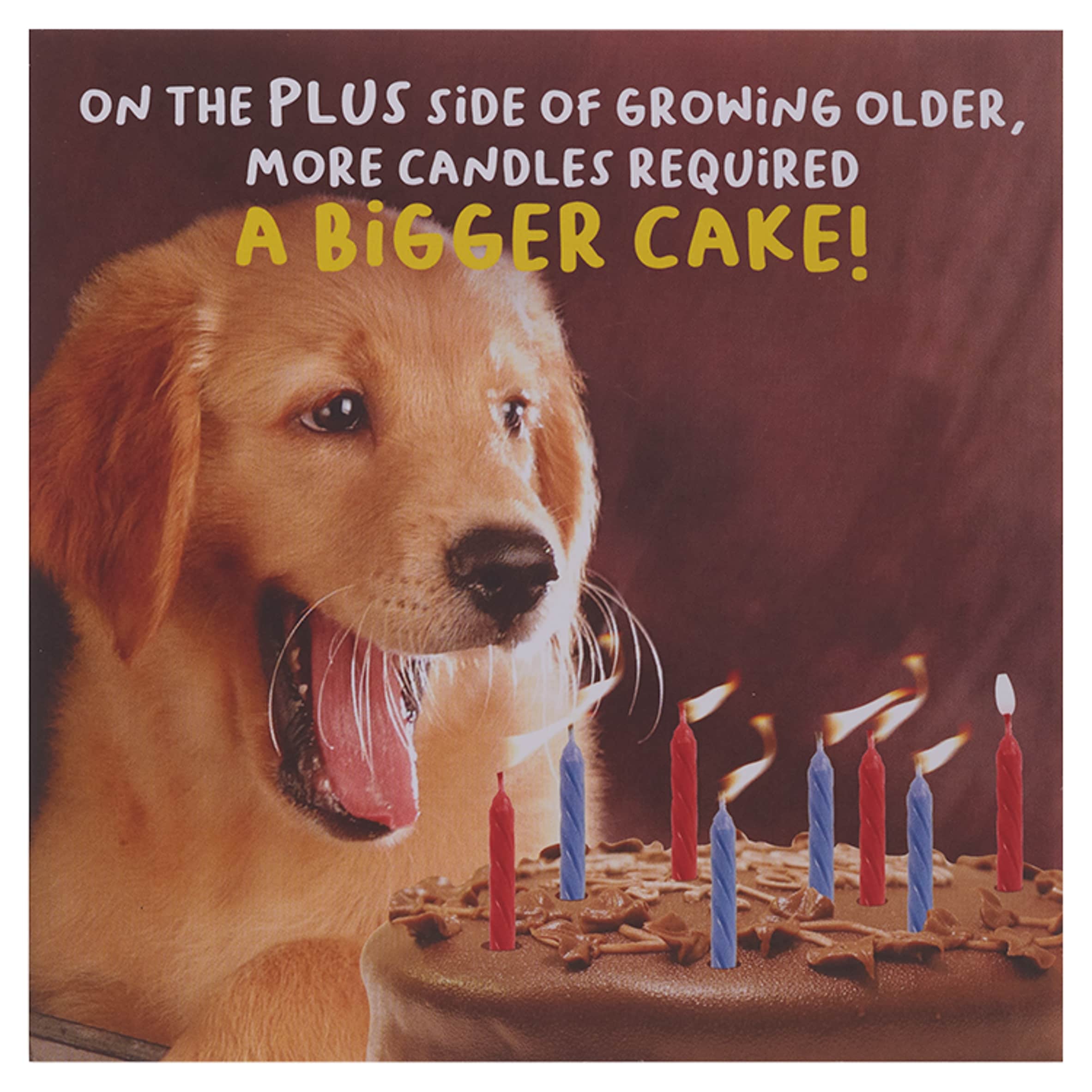 Emotional Rescue Birthday Card A Bigger Cake!