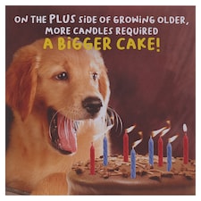 Emotional Rescue Birthday Card A Bigger Cake!