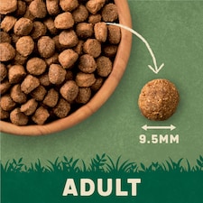 Harringtons Adult Beef & Rice 4Kg thumbnail 3