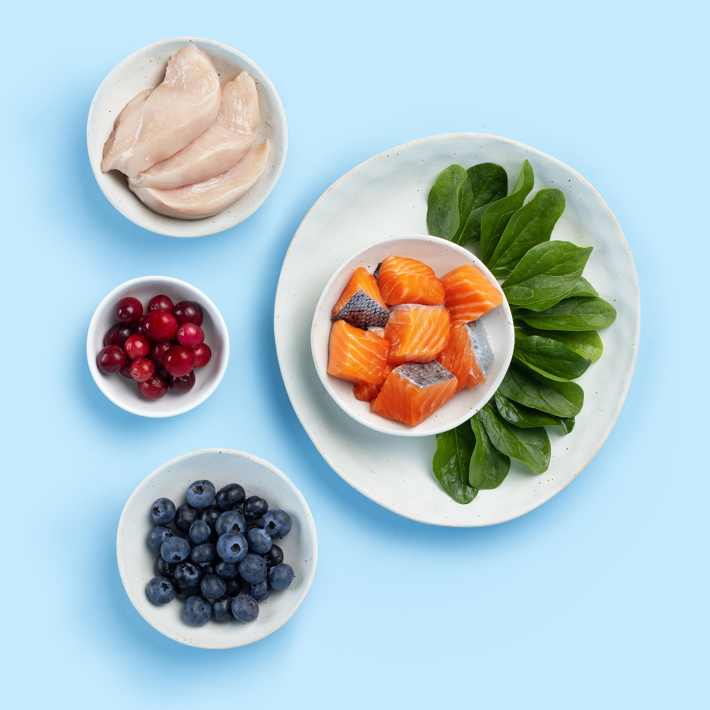 Nood Cat Dinner Selection Chicken & Salmon In Gravy 8X85g thumbnail 4