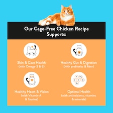 Nood Cat Premium Cage Free Chicken Recipe 800G thumbnail 2