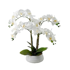 Bayswood Artificial Orchid Floral Arrangement