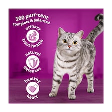 Whiskas 1+ Adult Dry Cat Food Biscuits Lamb 1.9kg thumbnail 2