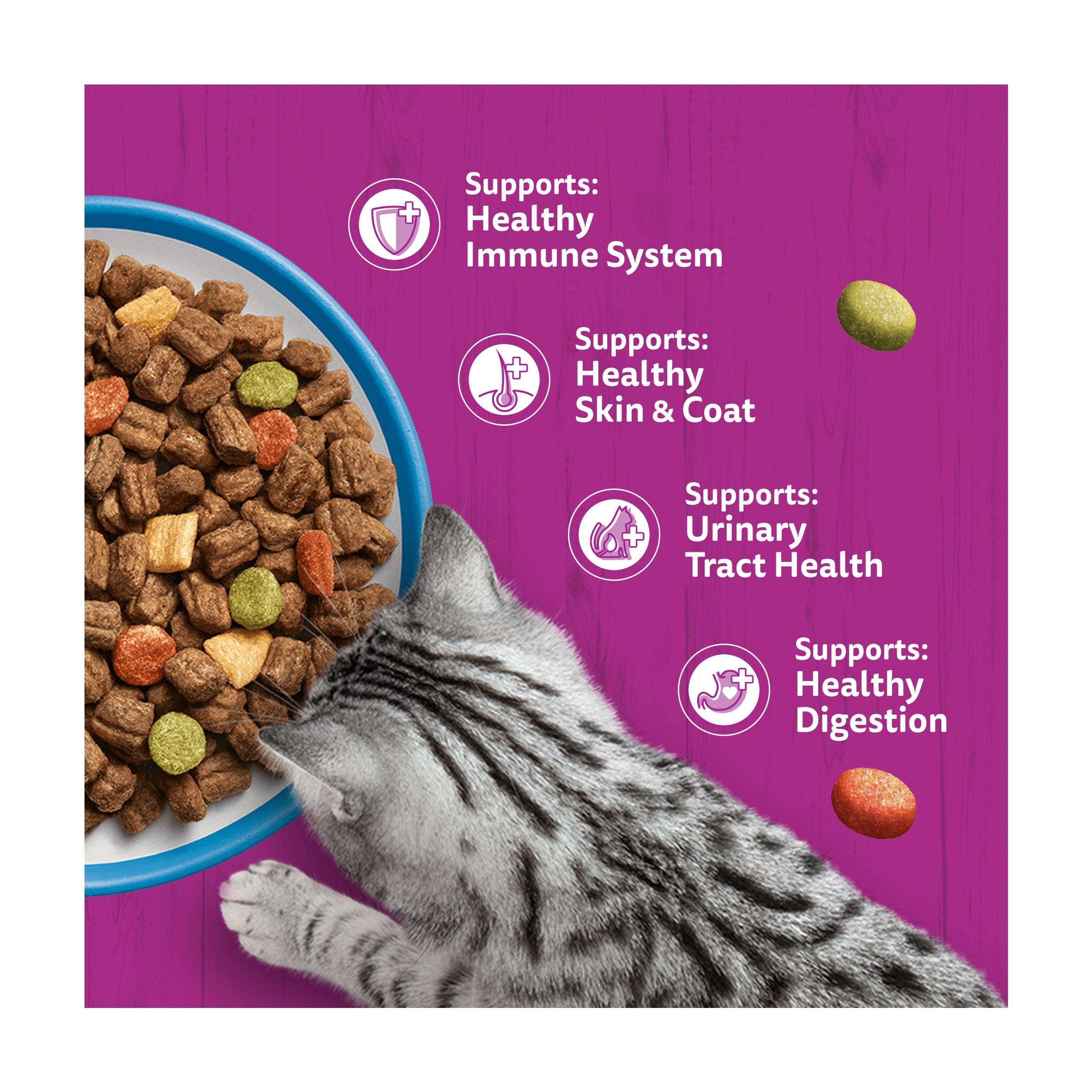 Whiskas 1+ Adult Dry Cat Food Biscuits Tuna 800g thumbnail 3