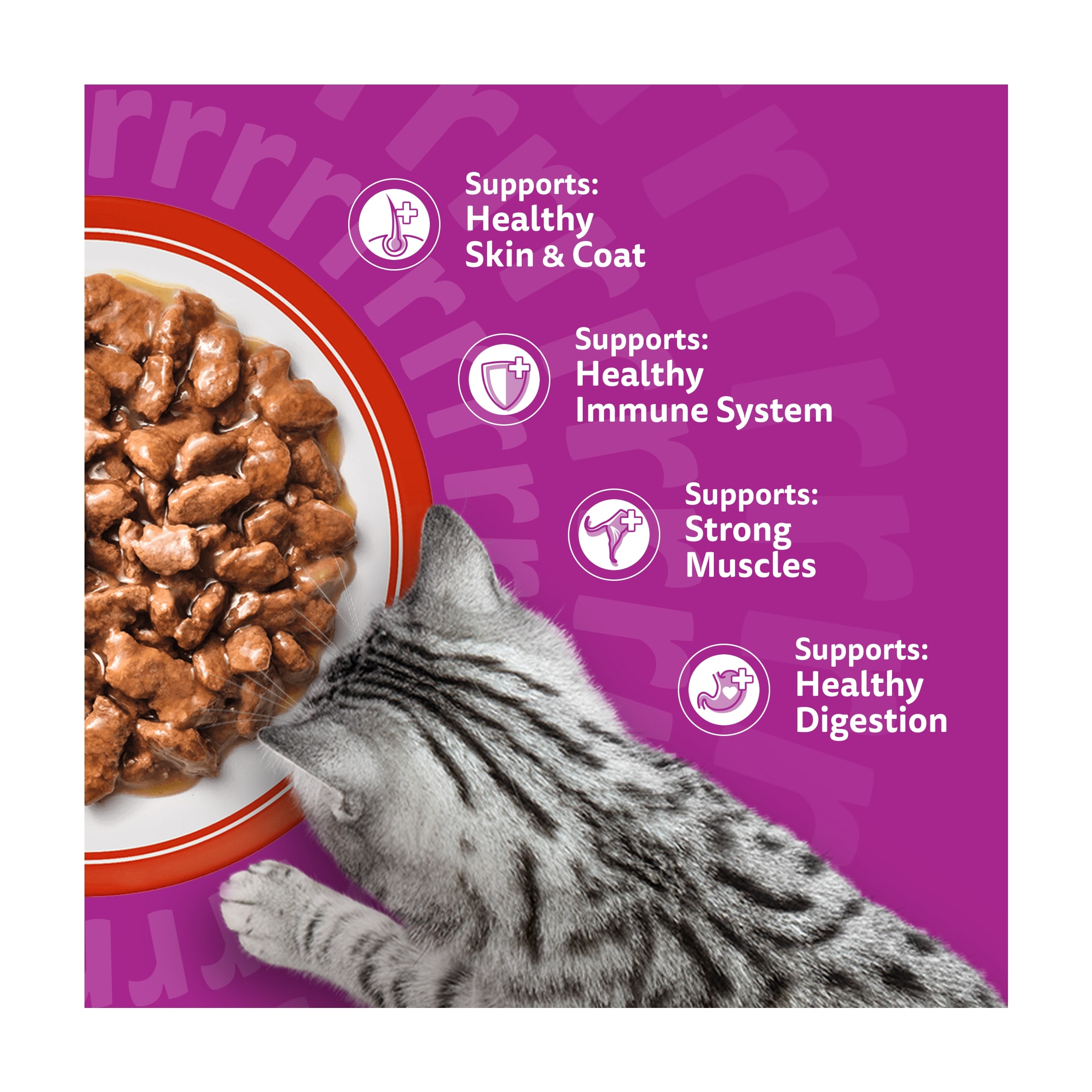 Whiskas Adult Wet Cat Food Pouches Meaty Meals in Gravy 12x85g thumbnail 3