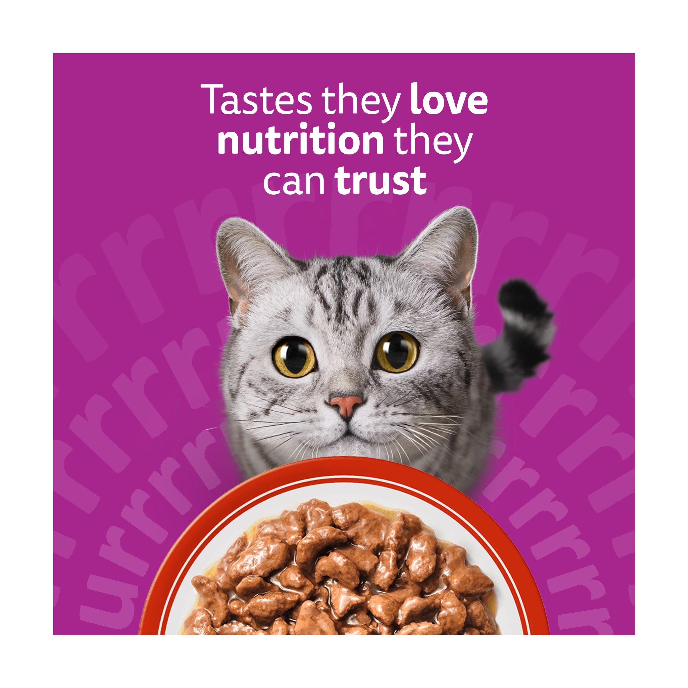 Whiskas Adult Wet Cat Food Pouches Meaty Meals in Gravy 12x85g thumbnail 4