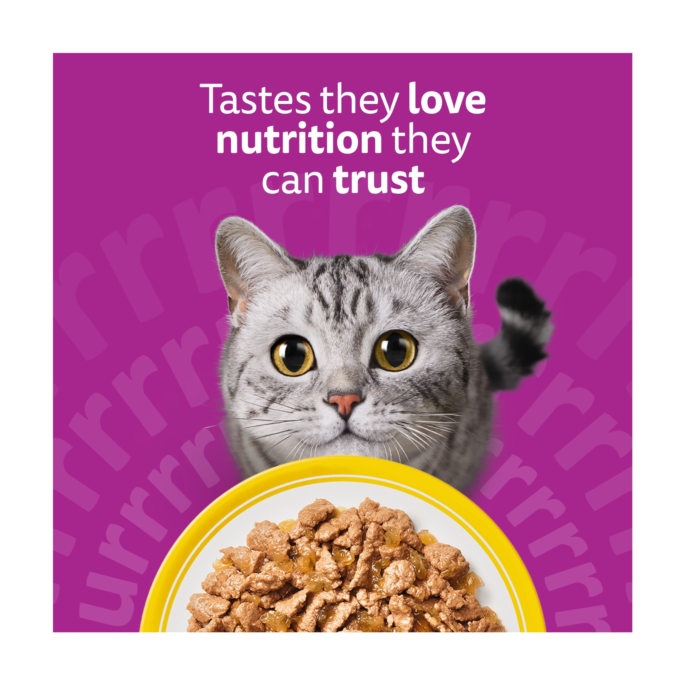 Whiskas Adult Wet Cat Food Pouches Poultry Feasts In Jelly 12x85g thumbnail 4
