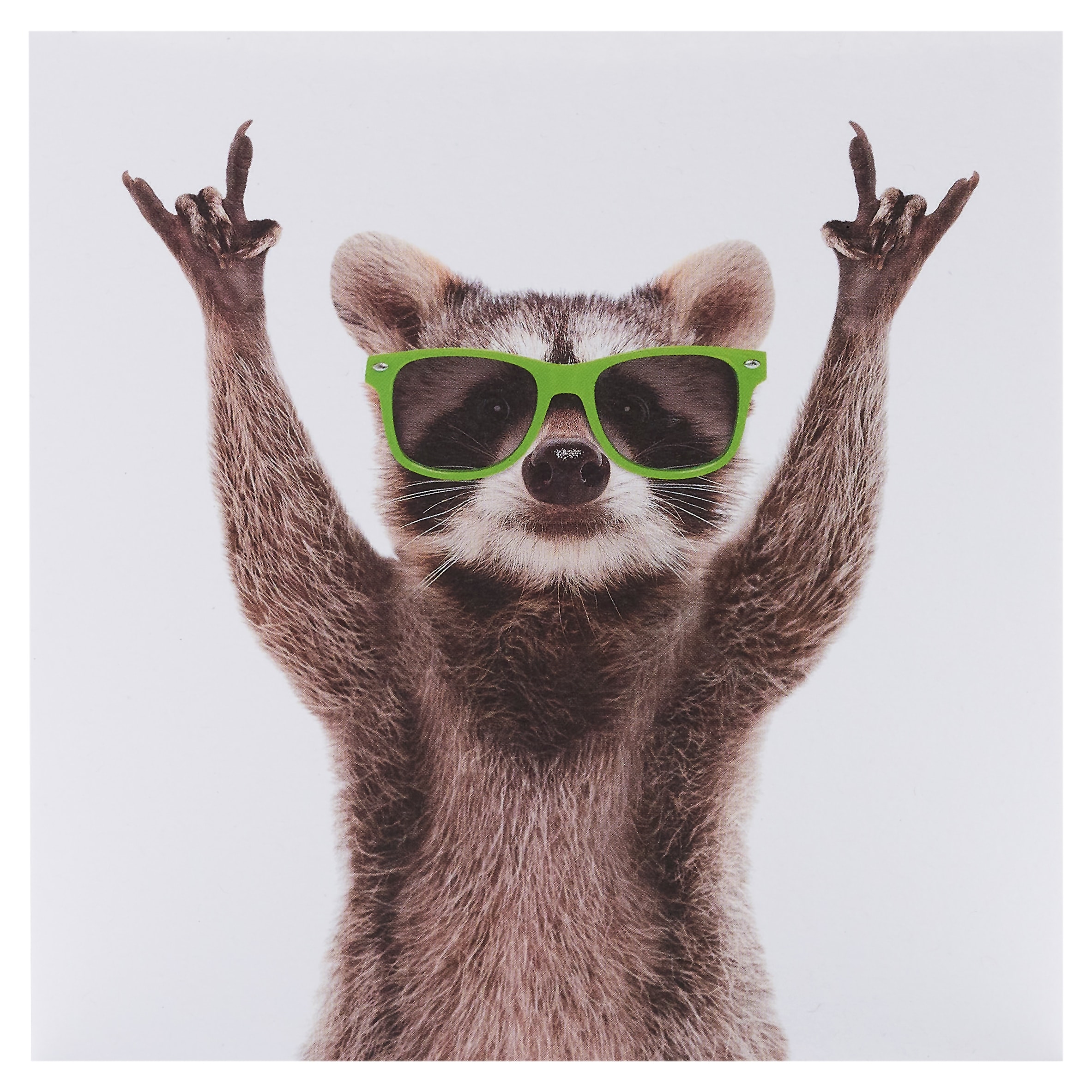 Camden Graphics Blank Card Raccoon (Humour)