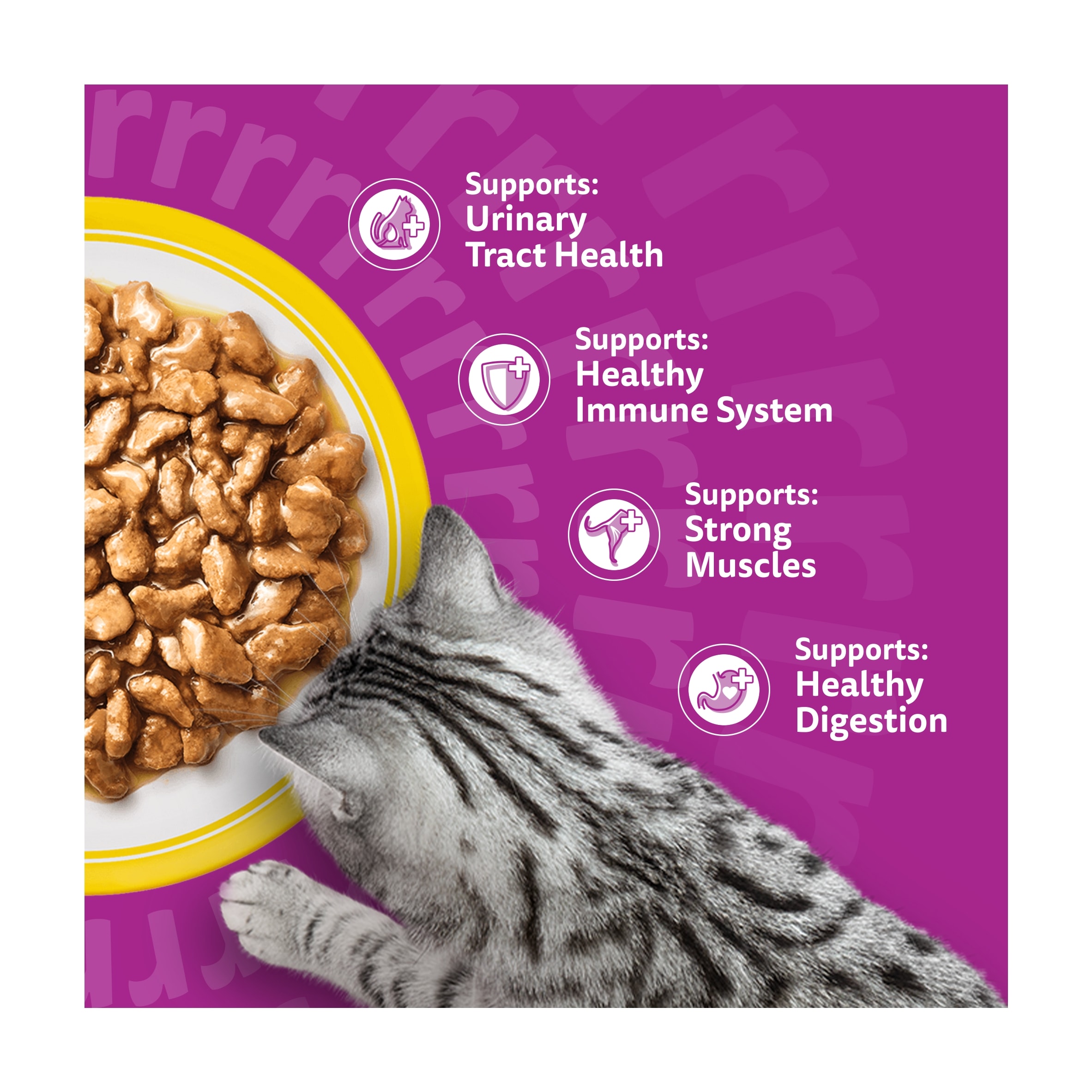 Whiskas 7+ Senior Wet Cat Food Poultry Feasts In Gravy 12x85g thumbnail 3