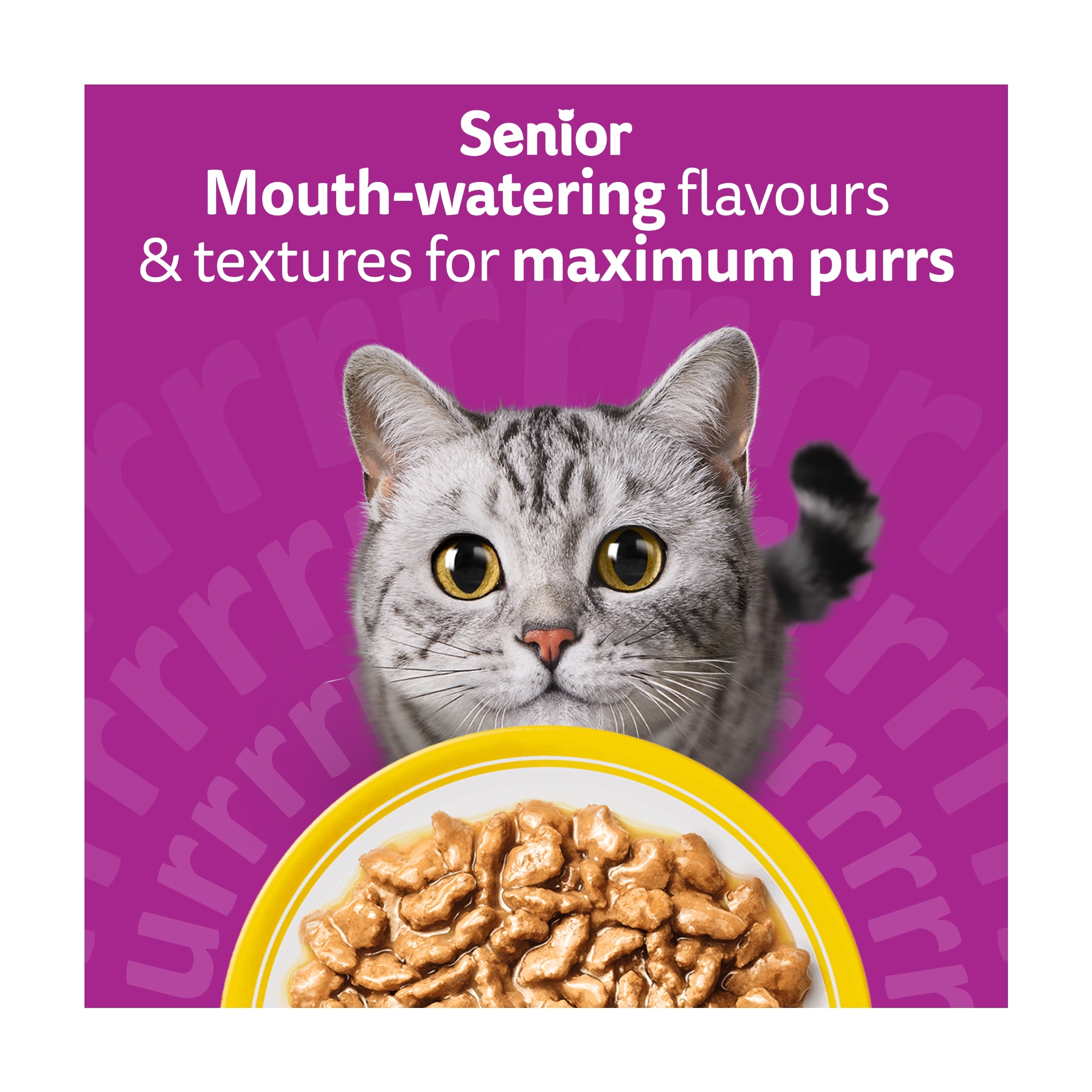 Whiskas 7+ Senior Wet Cat Food Poultry Feasts In Gravy 12x85g thumbnail 4