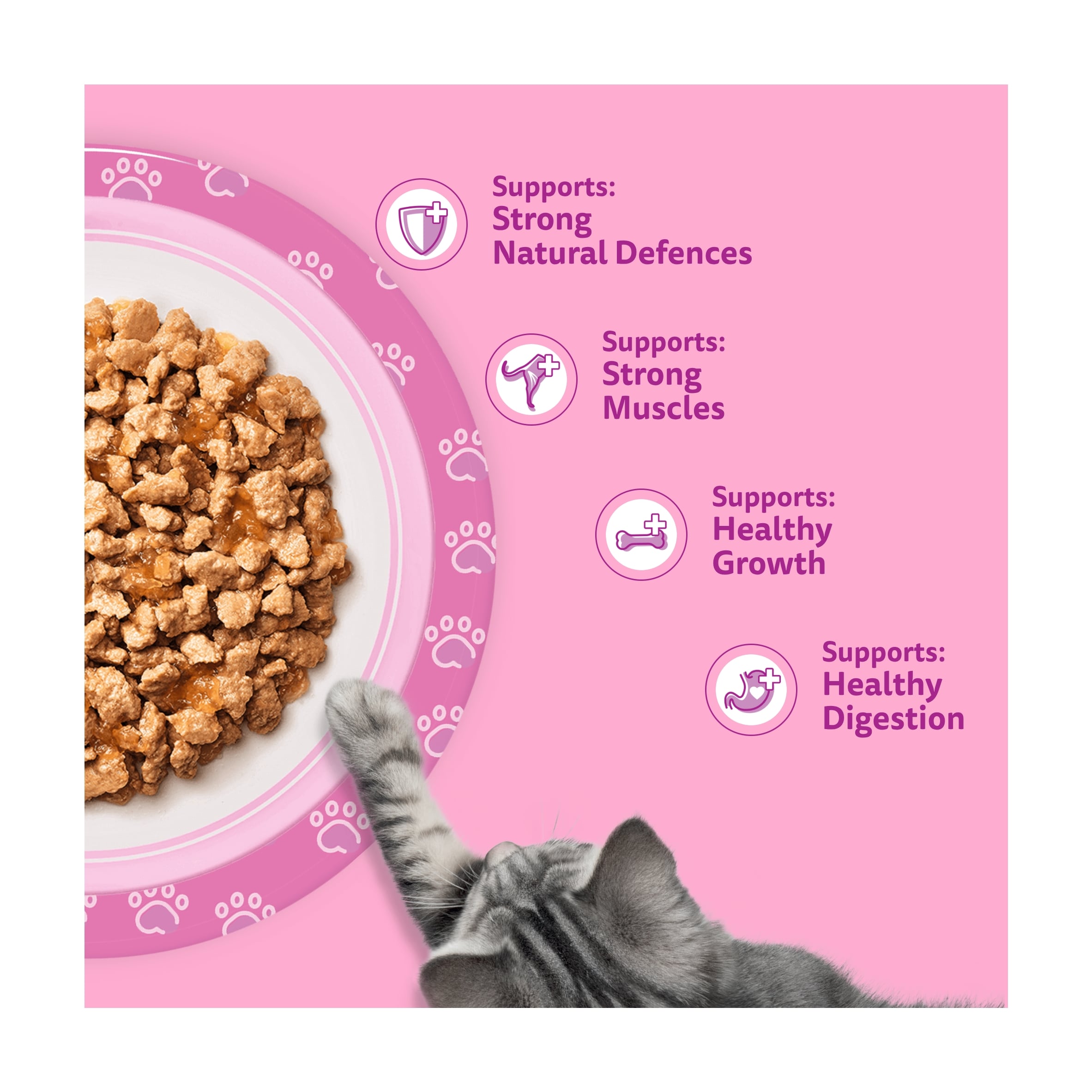 Whiskas Kitten Wet Cat Food Pouches Fish Favourites in Jelly 12x85g thumbnail 3