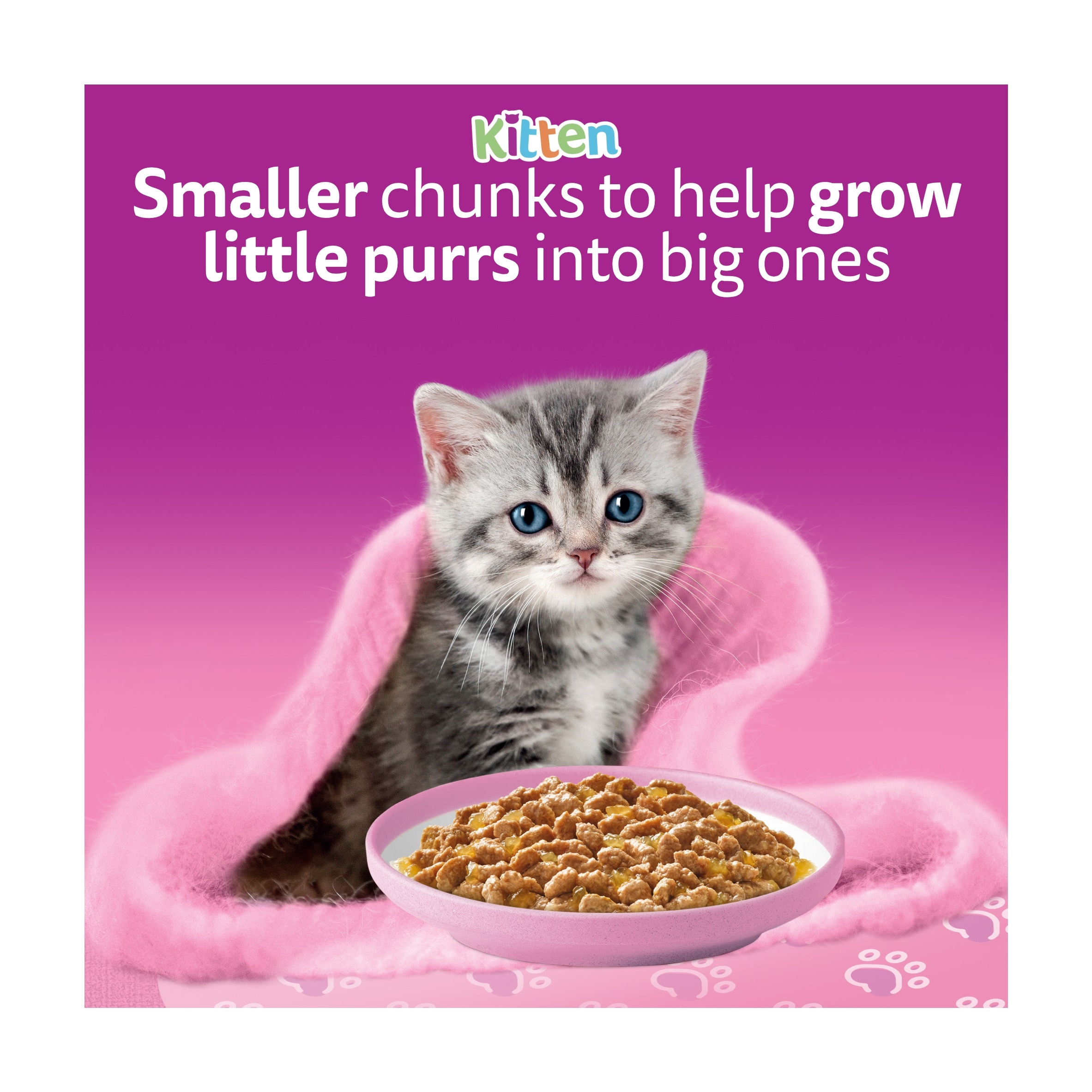 Whiskas Kitten Wet Cat Food Pouches Fish Favourites in Jelly 12x85g thumbnail 4