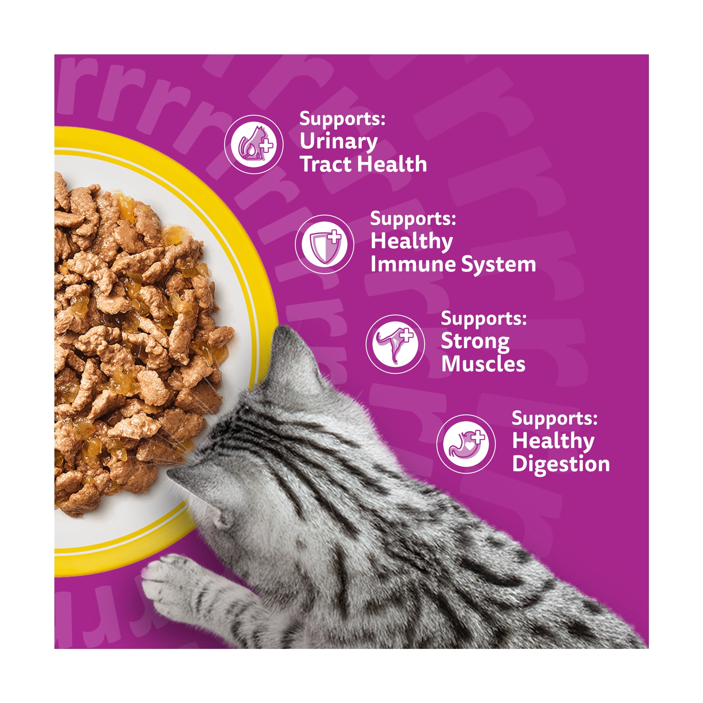 Whiskas 7+ Senior Wet Cat Food Poultry Feasts in Jelly 12x85g thumbnail 3