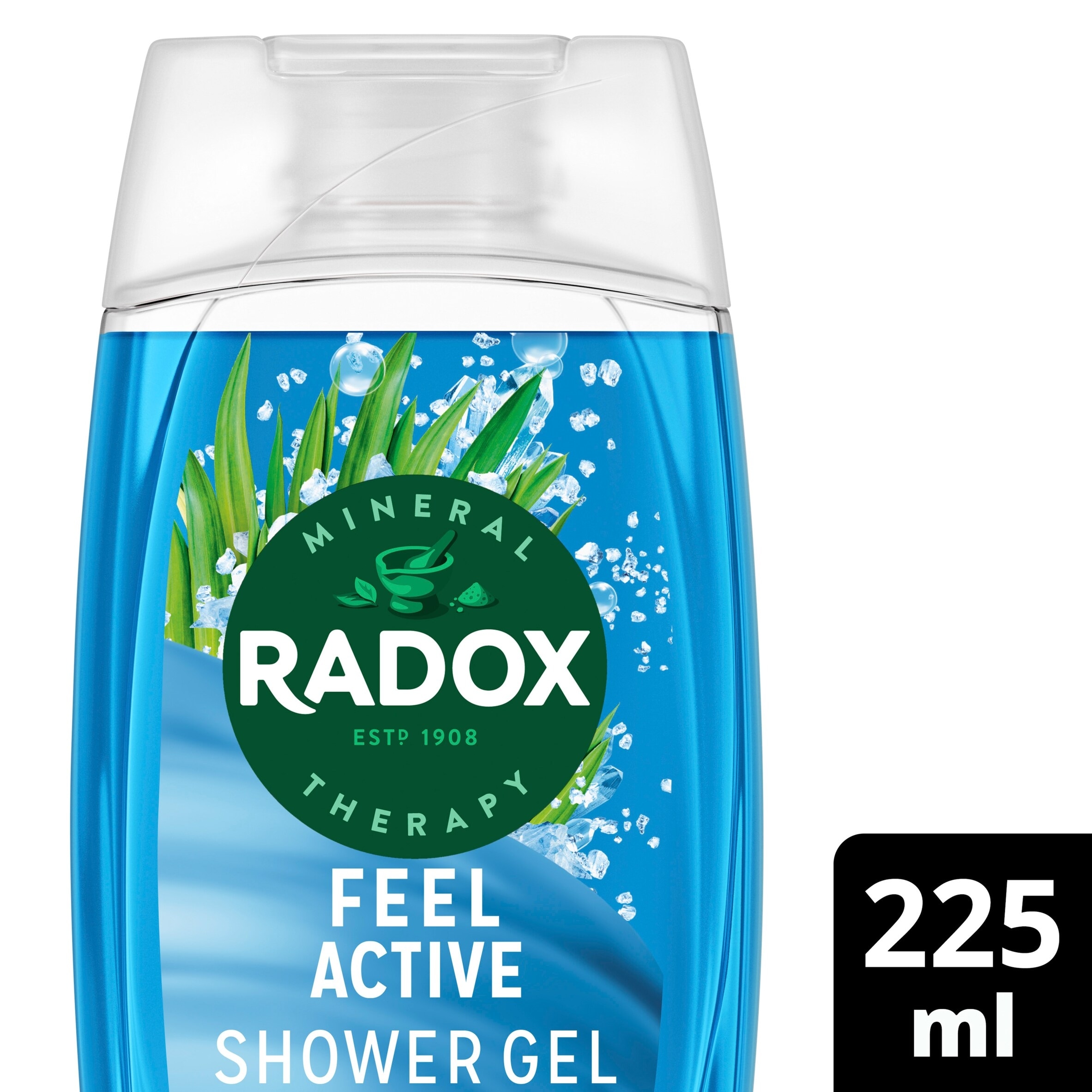 Radox Feel Active Mood Boosting Shower Gel