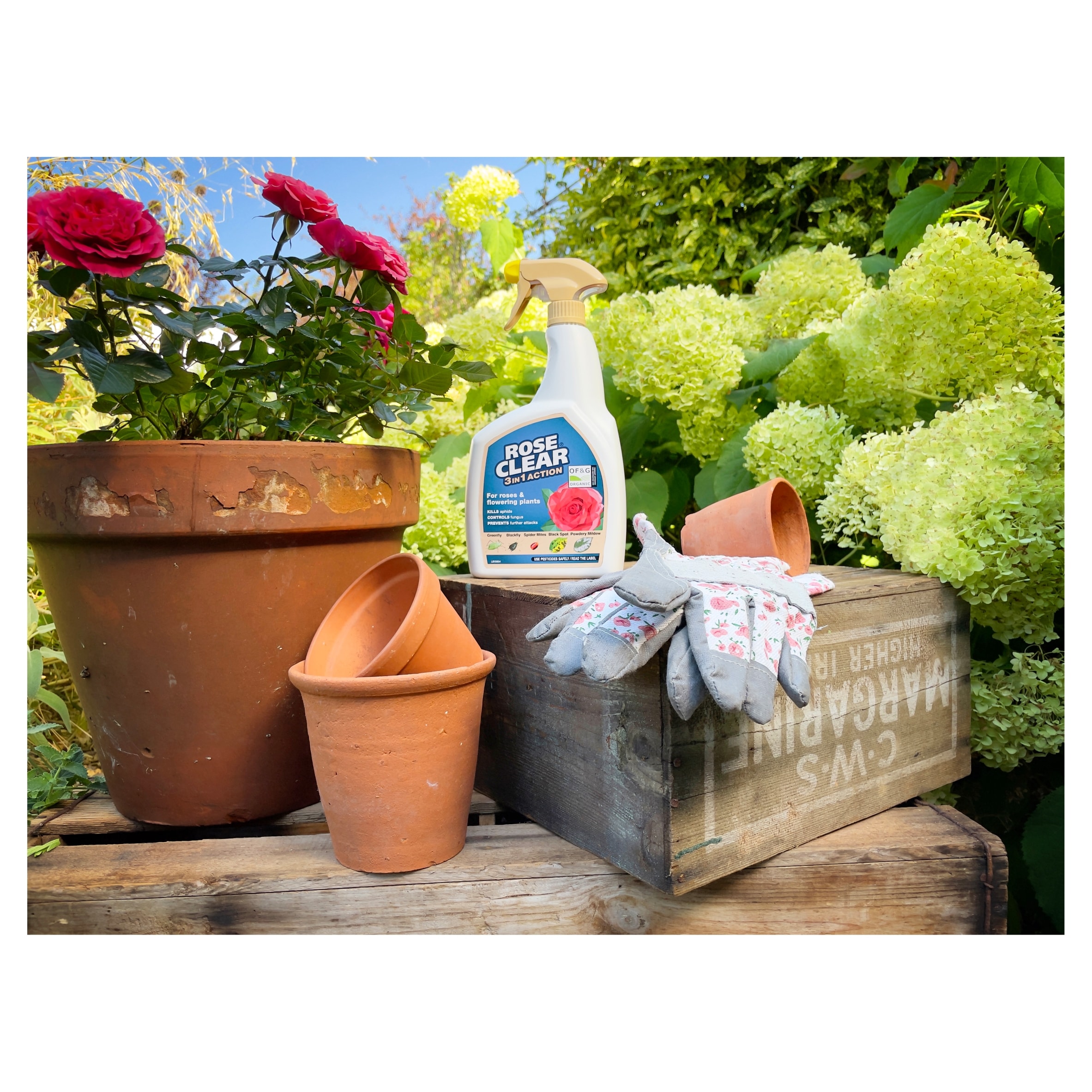Roseclear 3 In 1 Action 800Ml thumbnail 2