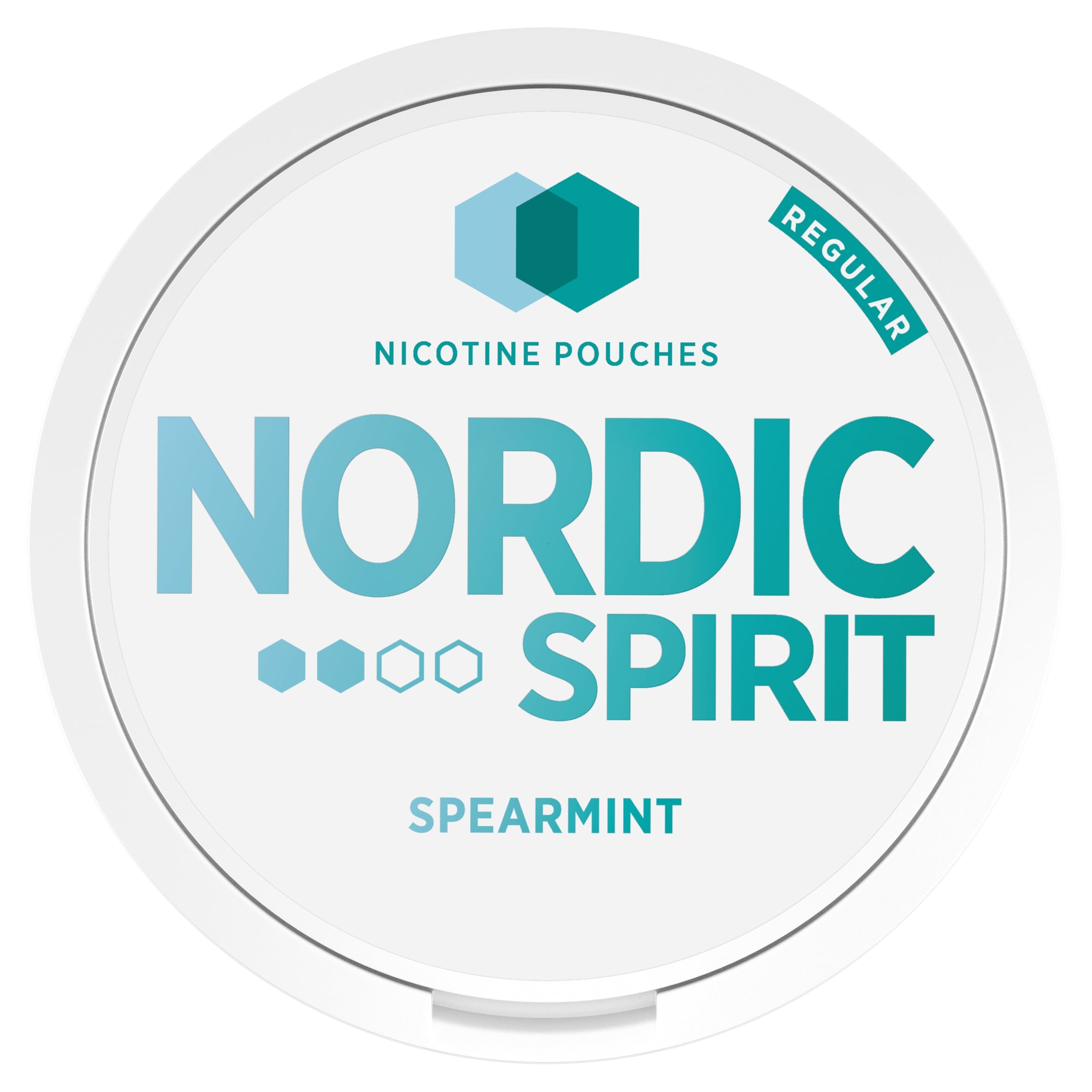 Nordic Spirit Regular Spearmint Nicotine Pouches 20 Pack 13G