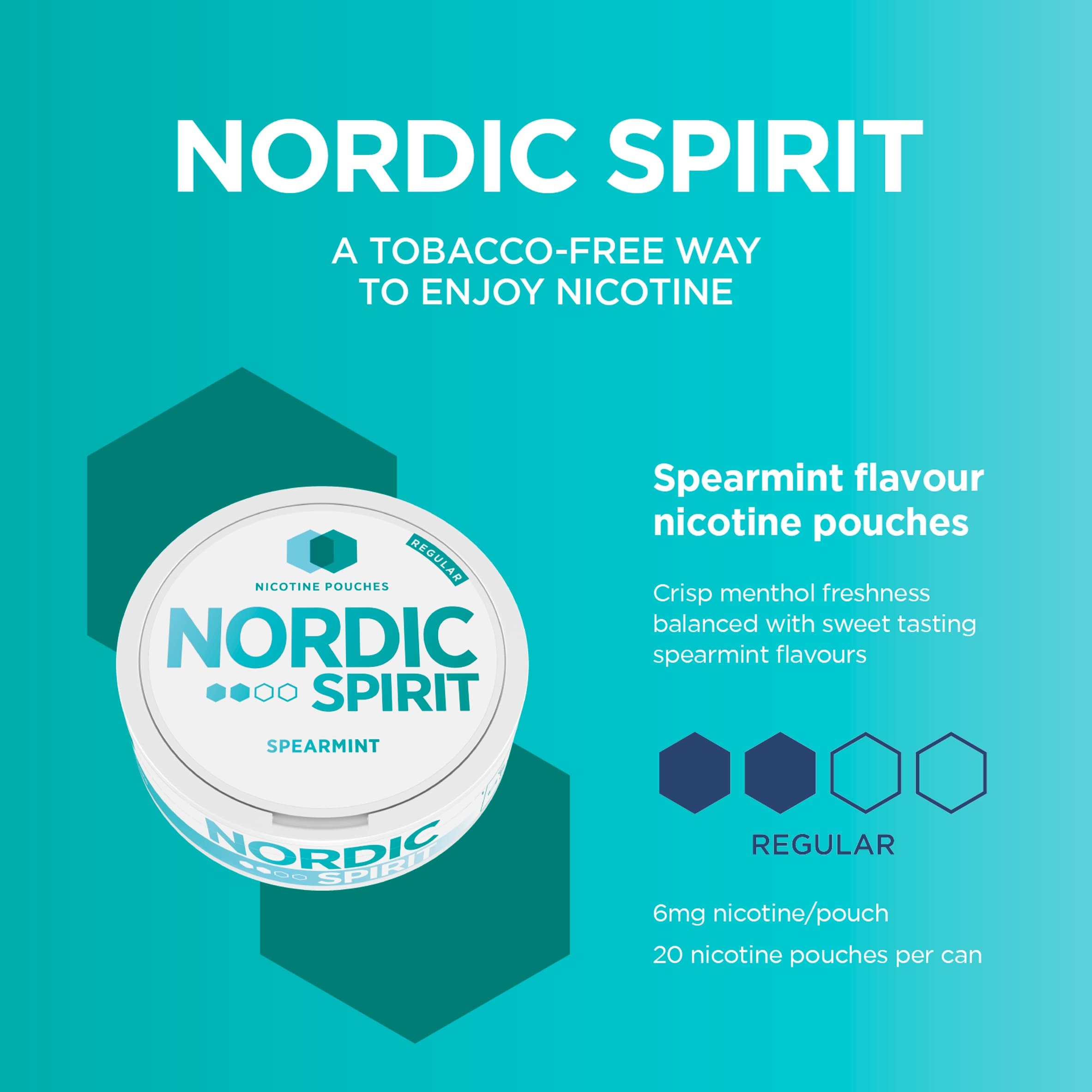 Nordic Spirit Regular Spearmint Nicotine Pouches 20 Pack 13G thumbnail 2