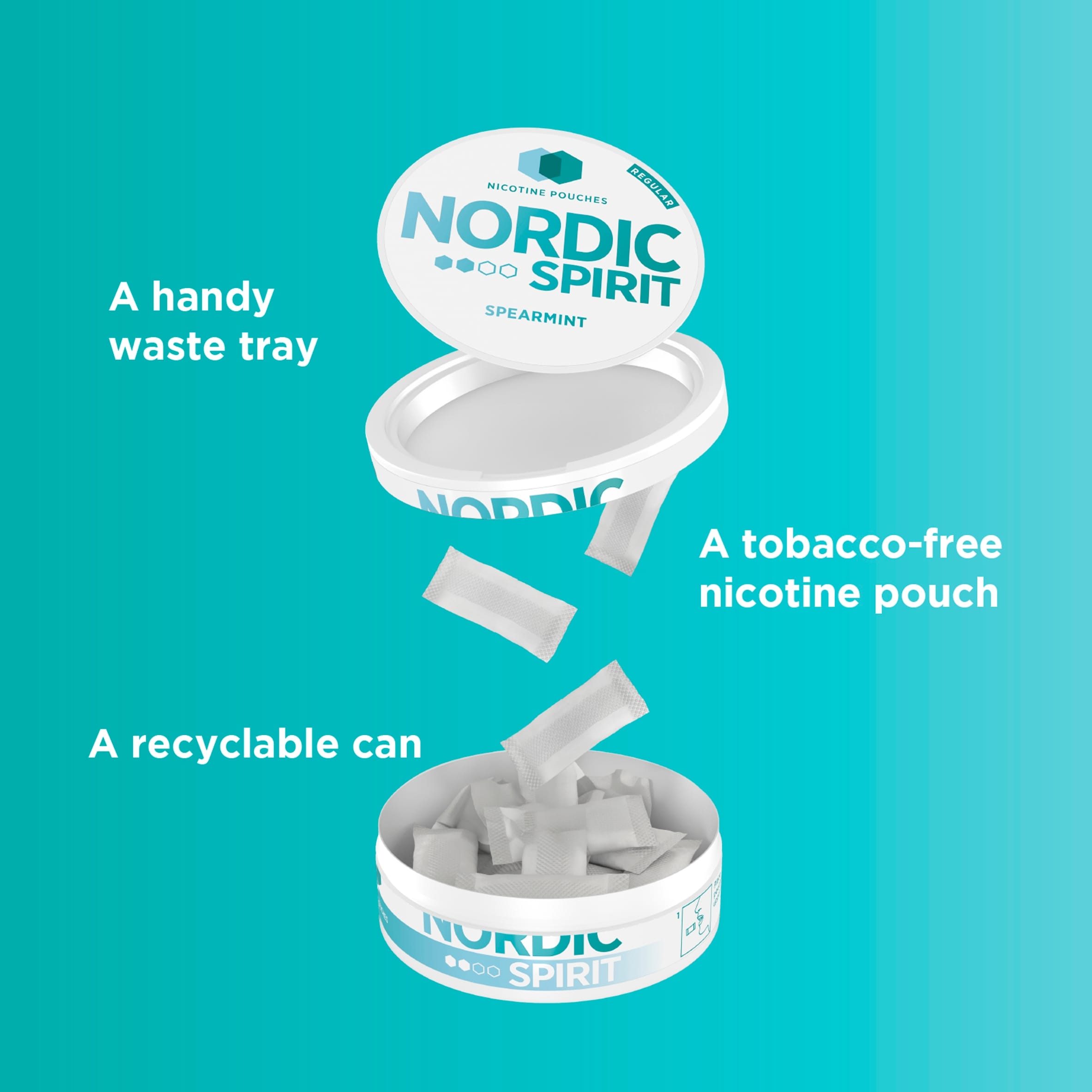 Nordic Spirit Regular Spearmint Nicotine Pouches 20 Pack 13G thumbnail 4