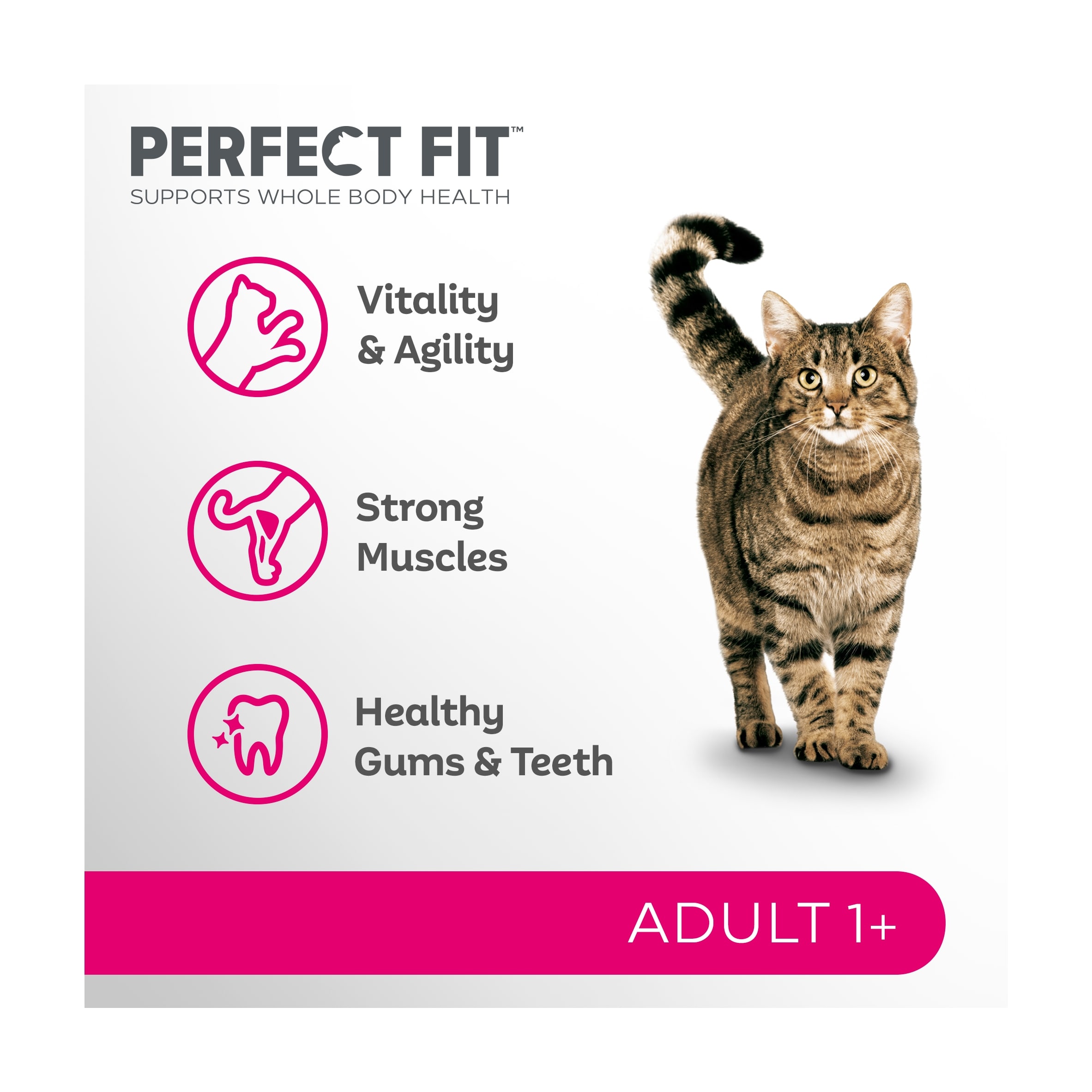 Perfect Fit Adult 1+ Dry Cat Food - Salmon 750g thumbnail 2