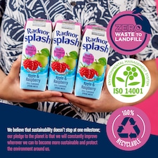 Radnor Splash Apple & Raspberry 3 X 250Ml thumbnail 3