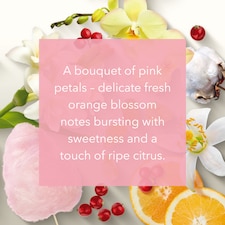 Yankee Sweet Petals Candle 200G thumbnail 2