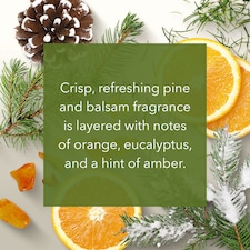 Yankee Frosted Pine Candle 200G thumbnail 2