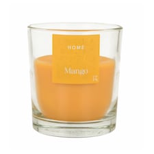 F&F Home Candle Mango 95G