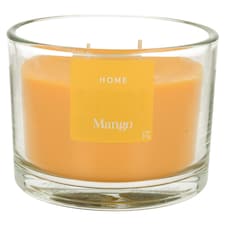 F&F Home Candle Mango 300G