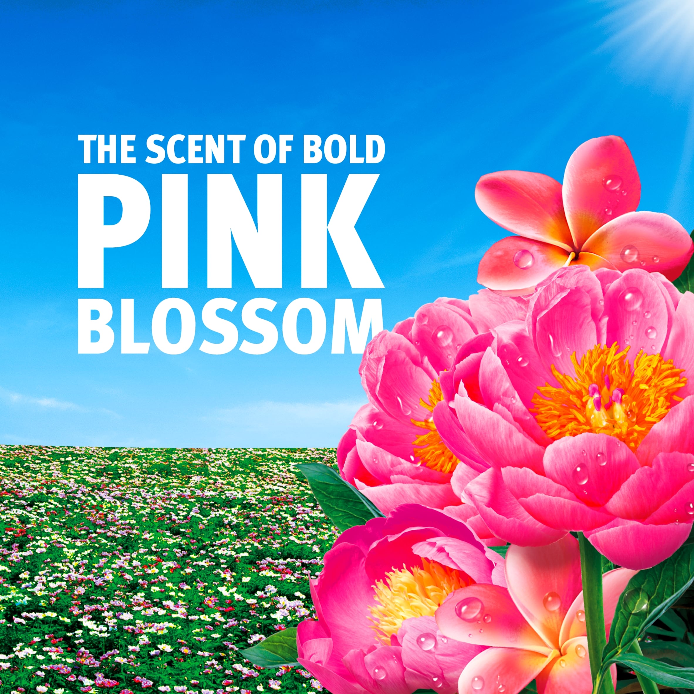 Bold Washing Liquid Gel First Days Of Spring 40 Washes 1.32L thumbnail 2