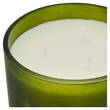 F&F Home Apothecary Eucalyptus & Pine Needles Candle 650g thumbnail 2
