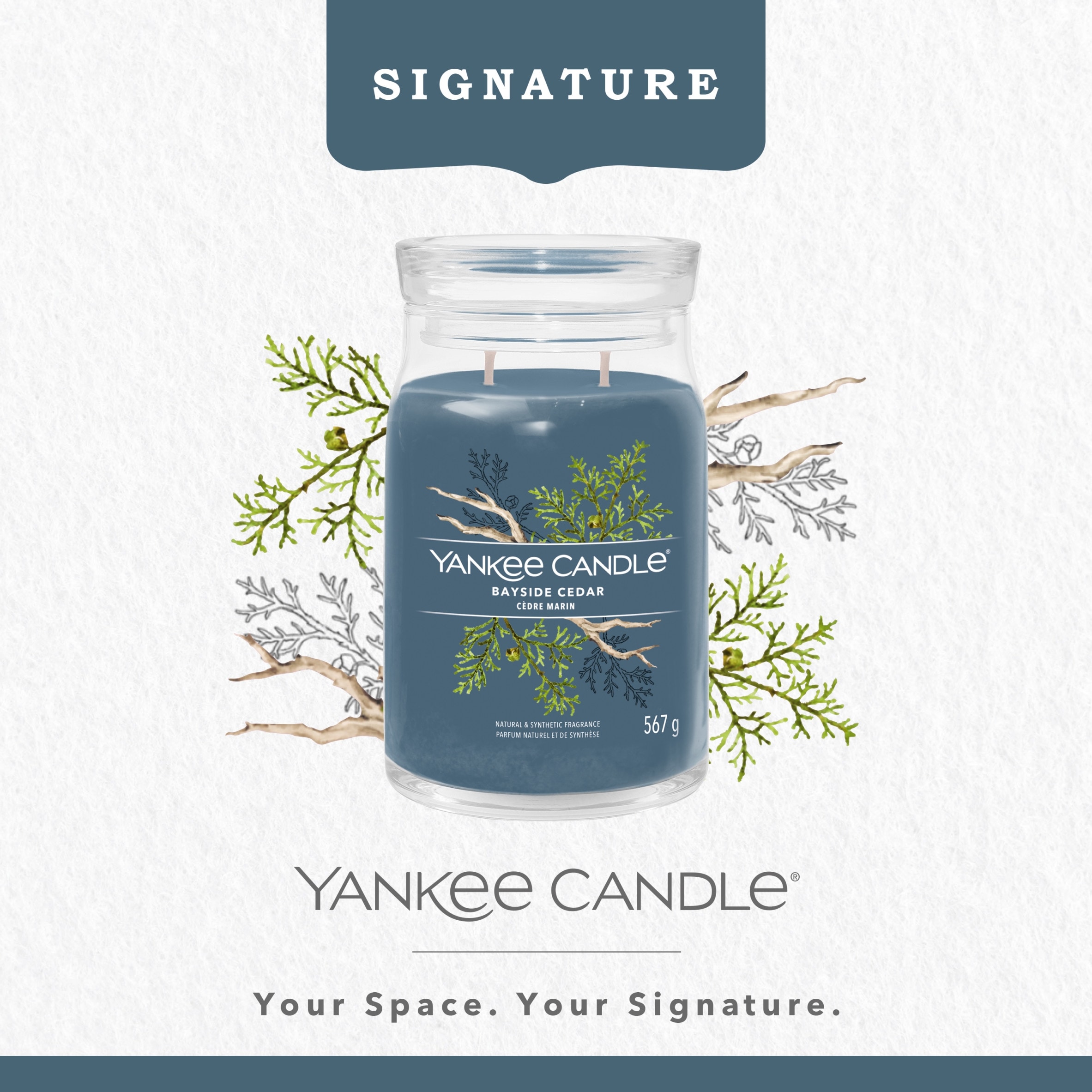 Yankee Candle Signature Bayside Cedar Large Jar 567g thumbnail 2