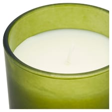 F&F Home Apothecary Eucalyptus and Pine Needles Candle 140g thumbnail 2