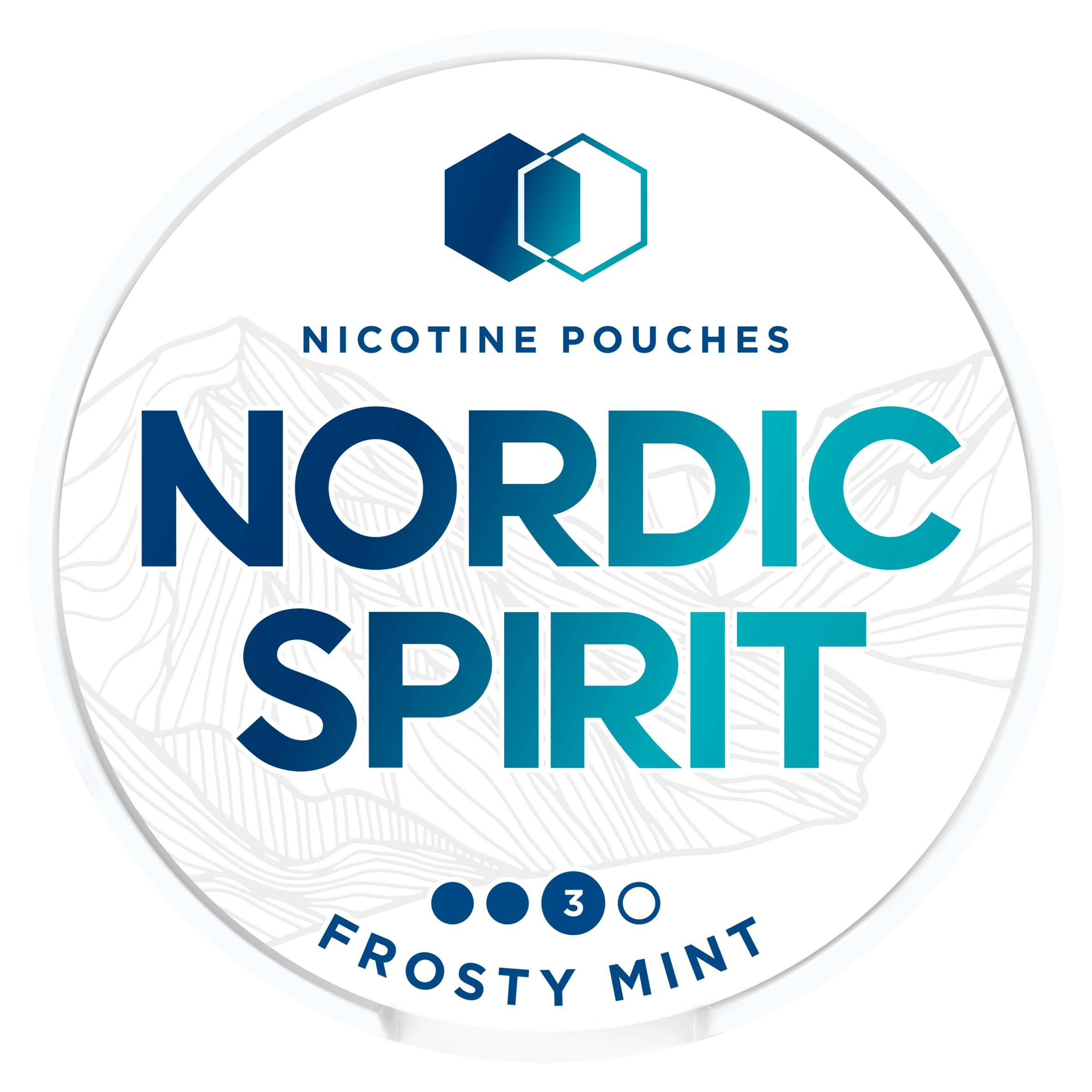 Nordic Spirit Frosty Mint Tobacco Free Nicotine Pouches Strong 20 Pack 9mg 14g