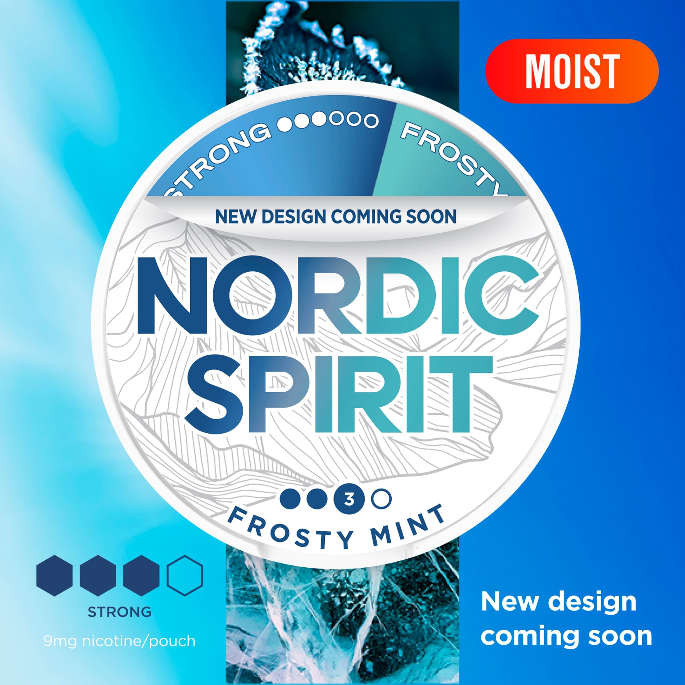 Nordic Spirit Frosty Mint Tobacco Free Nicotine Pouches Strong 20 Pack 9mg 14g thumbnail 2