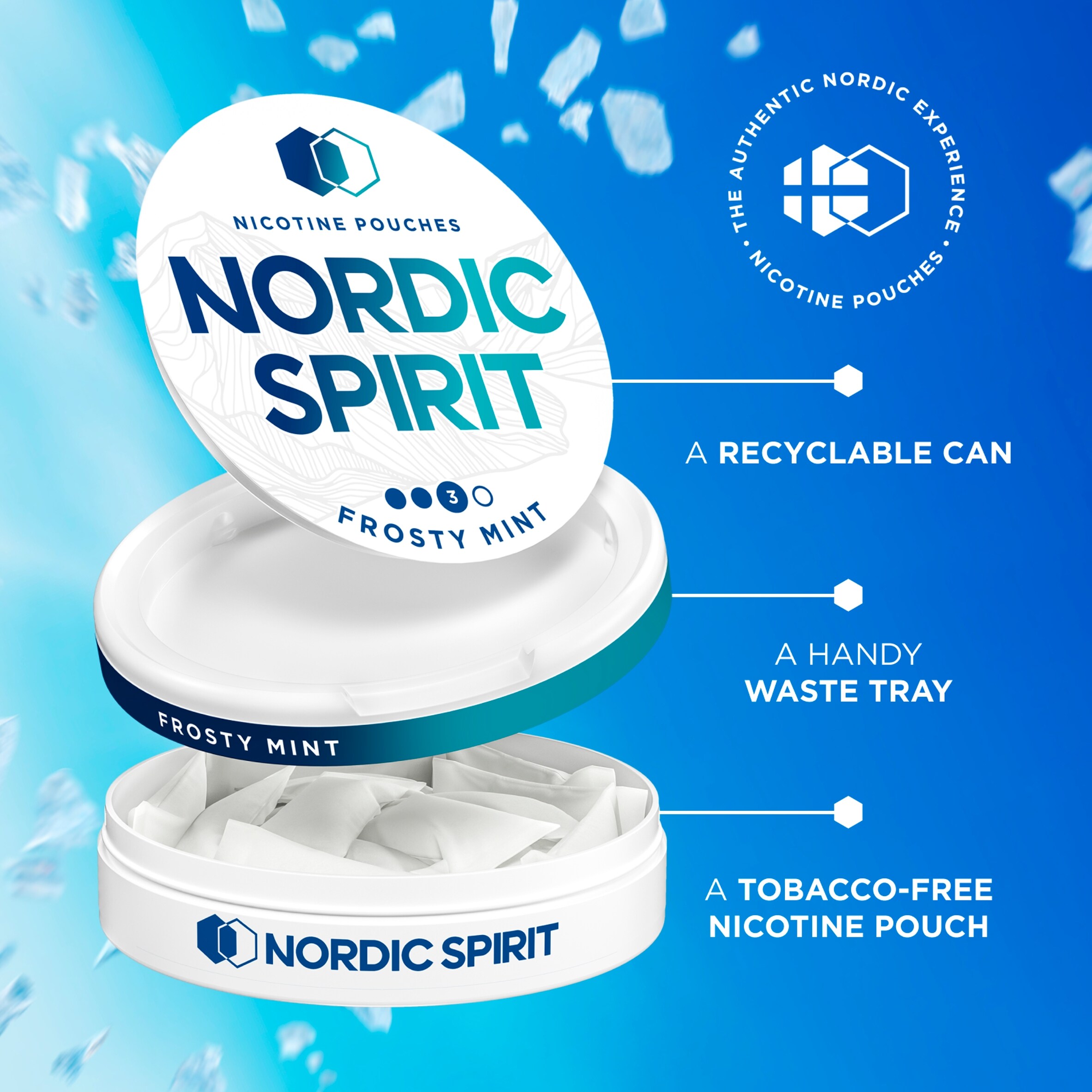 Nordic Spirit Frosty Mint Tobacco Free Nicotine Pouches Strong 20 Pack 9mg 14g thumbnail 4