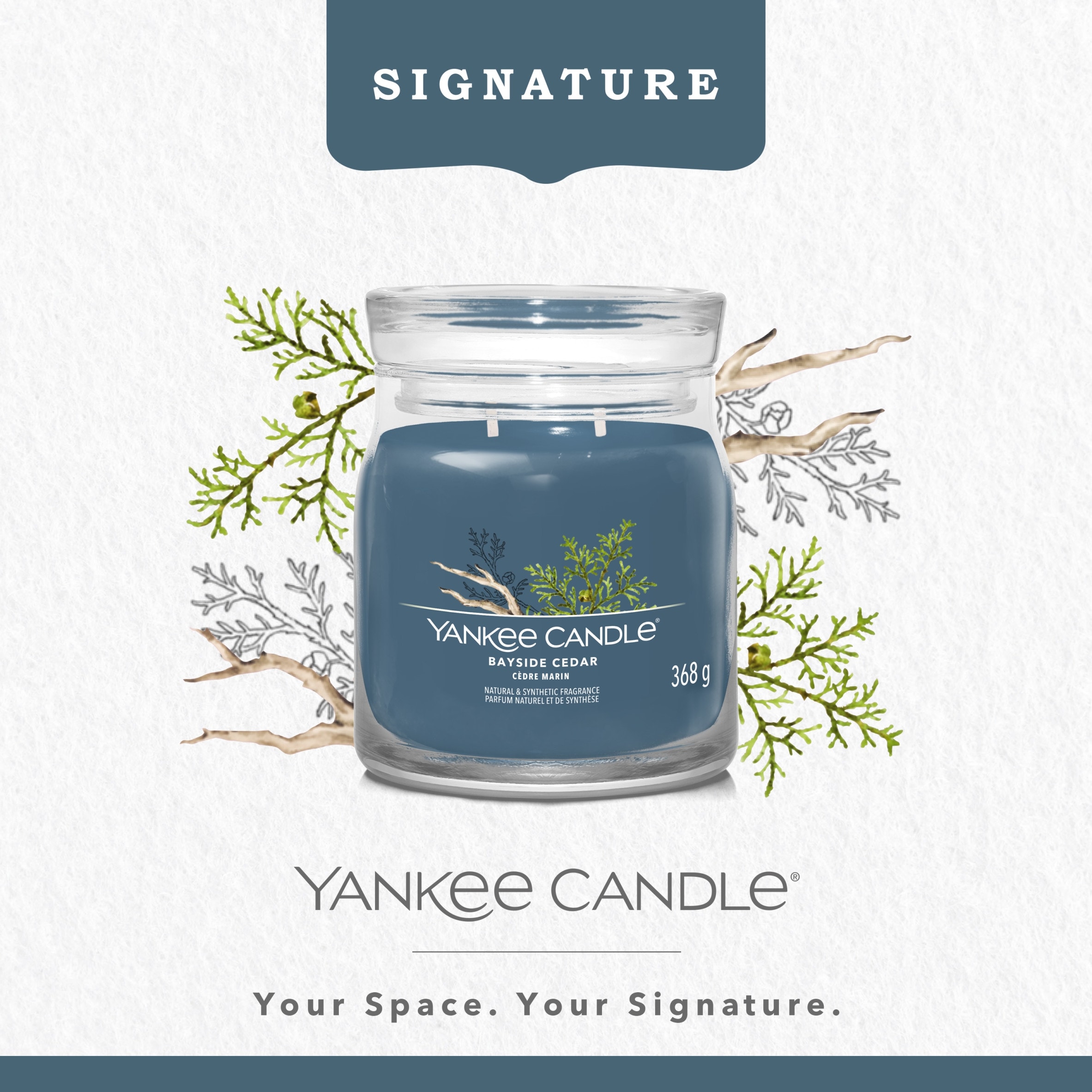 Yankee Candle Signature Bayside Cedar Medium Jar 368g thumbnail 2