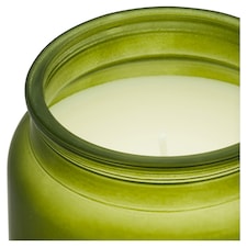 F&F Home Apothecary Eucalyptus and Pine Needles Candle 350g thumbnail 2