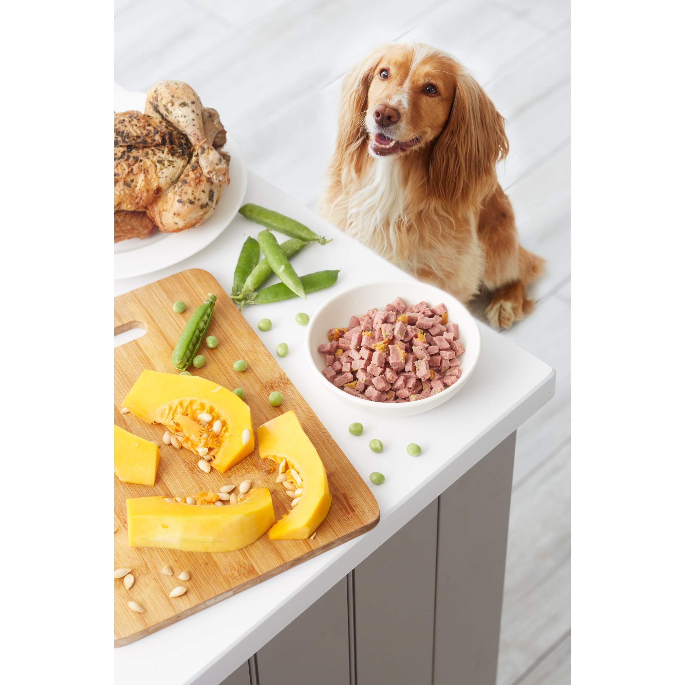 Freshpet Small Dog Grilled Chicken & Turkey with Pumpkin & Peas Fresh Dog Food 400g thumbnail 3