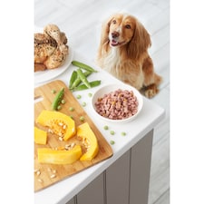 Freshpet Small Dog Grilled Chicken & Turkey Recipe with Pumpkin & Peas 400g thumbnail 3